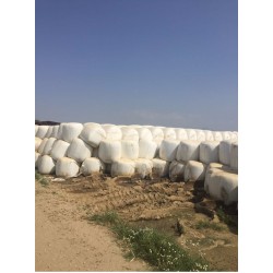 3-Mısır Silajı aylık 10.000 ton tedarik etme yeteneği 1. sınıf - 2. sınıf